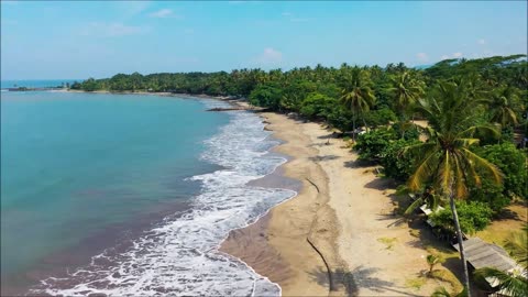 Beaches Drone Nature Sea View Free HD Videos