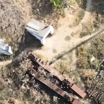 Cat survives drone strike using ninja skills