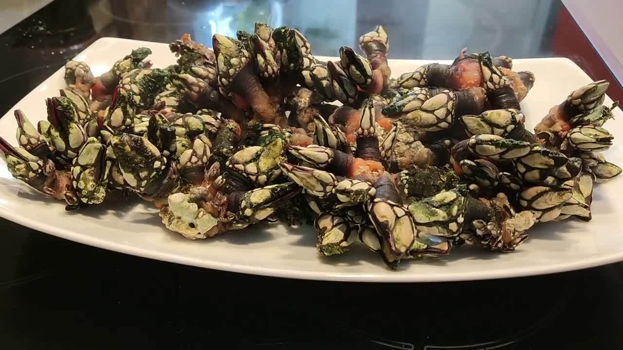 how to cook BARNACLES delicious and easy | 51. typical spanish food | percebes