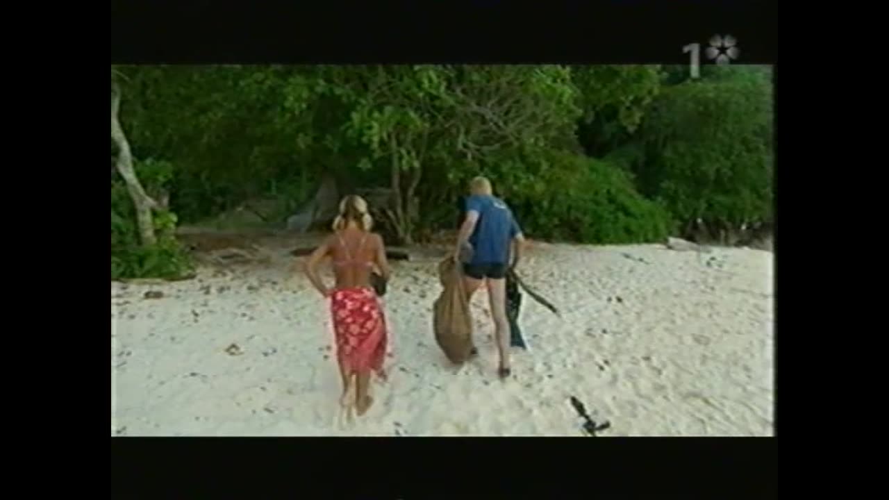 Robinson S06E13