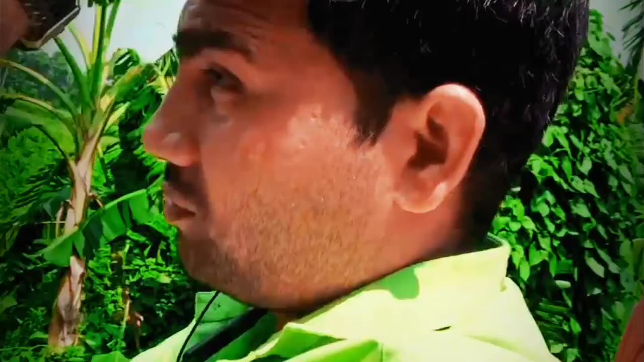 মানবতা