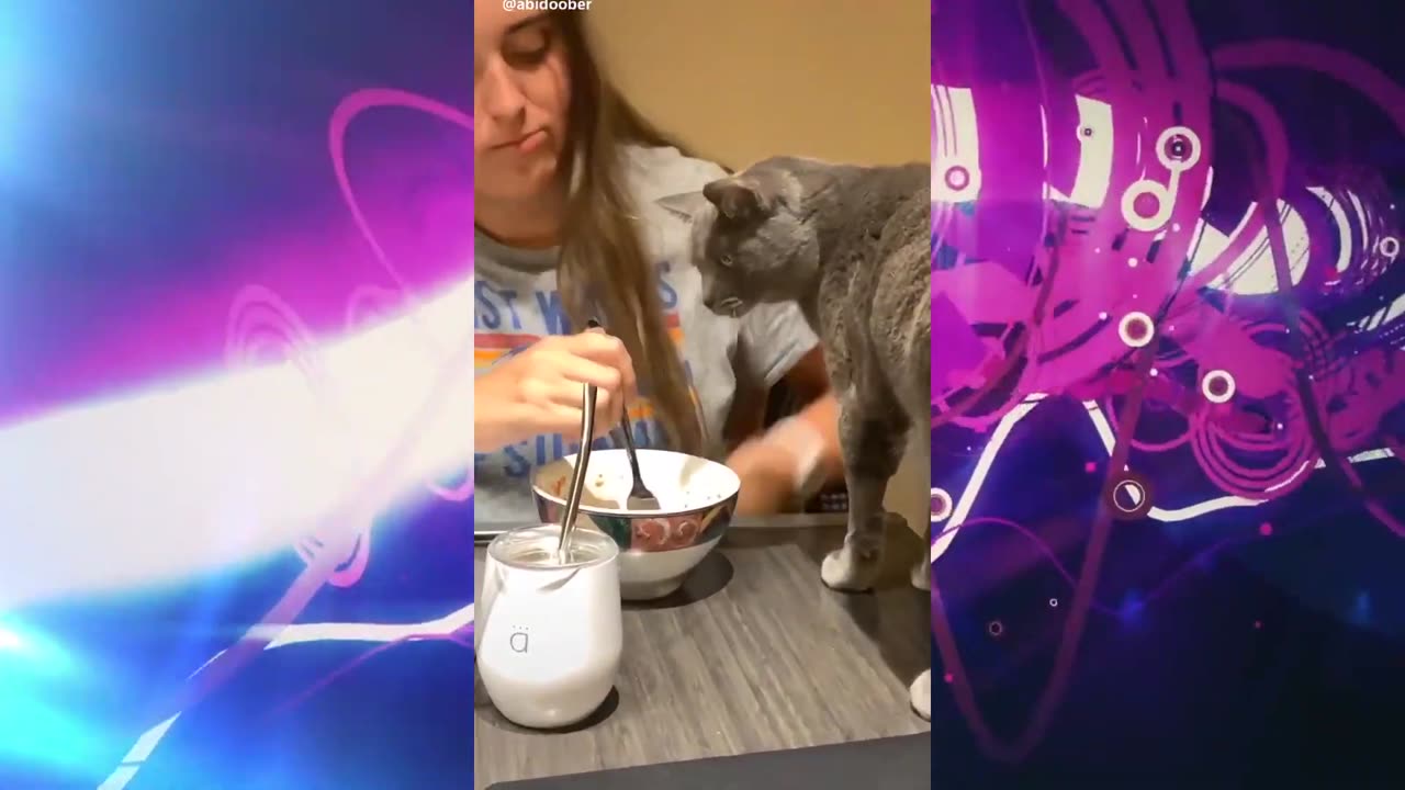 Funny tiktok compilation Try not to laugh