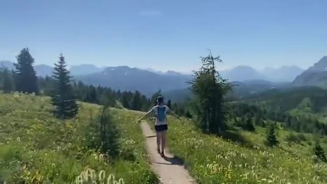 Wander in the wildflowers.