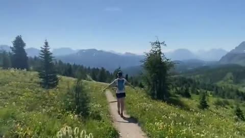 Wander in the wildflowers.