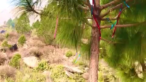 #nature #bunerbeauty #travel #kpkbeauty #mountains #kpktourism#Shortvideo