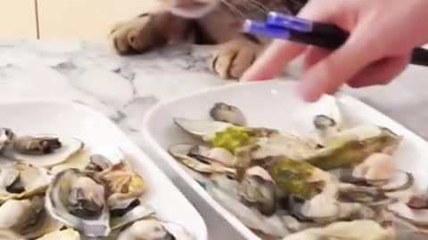 I also want to eat