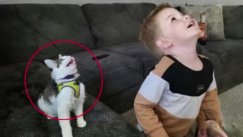 When your cat copies your every move 😂 Funny Cat and Human