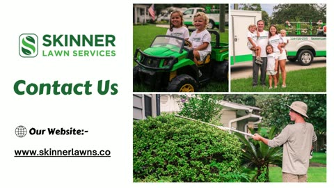 Landscaping Jacksonville - Skinner Lawns