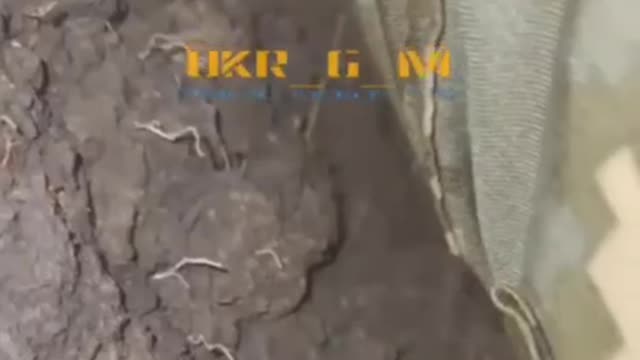 Ukraine soldiers record moment their trench is hit by Russian artillery