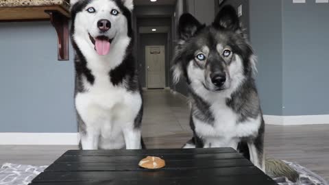 When there is only one cookie left