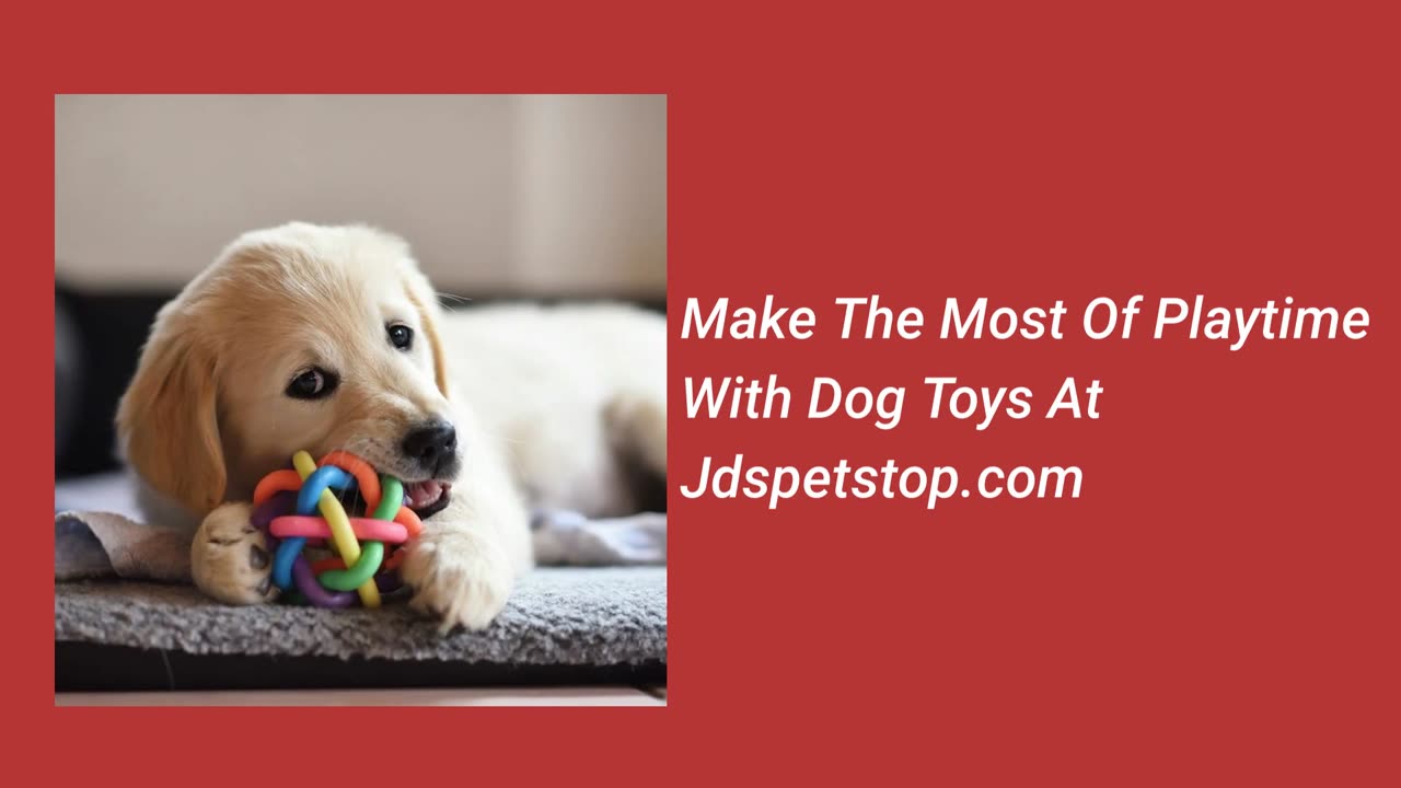 JD Pet Stop is your one-stop destination for all your pet's needs