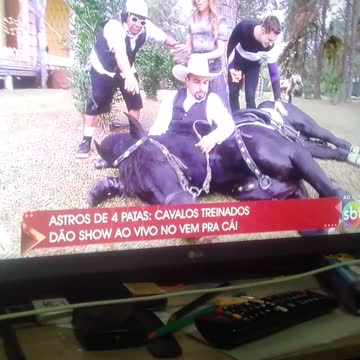 treinando cavalo pt7