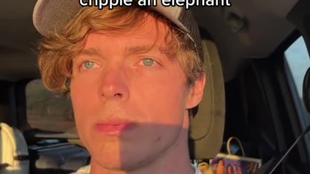 Bf who is driving and has had enough caffeine to cripple an elephant