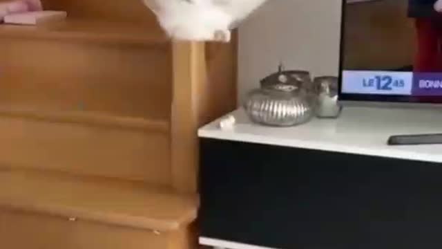Are you enjoying this channel?