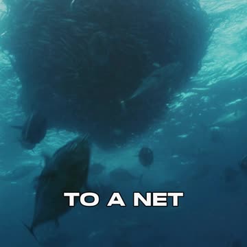 One Word From GOD.. 📖🔥 #heaven #hell #jesus #god #bible #christian #shorts #reels #viral