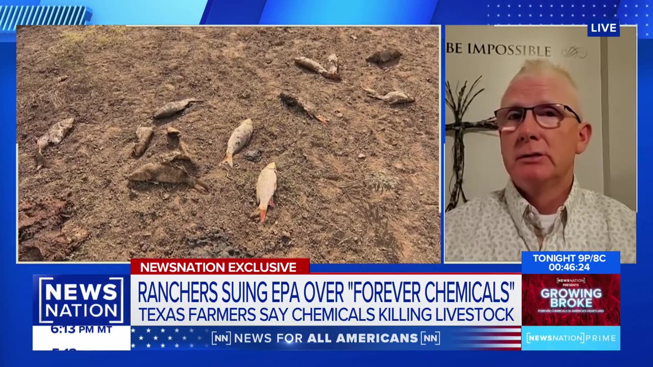 Forever chemicals killed 39 animals, ‘devastated our lives’: Texas rancher | NewsNation Prime