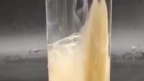 Amazing bug creature