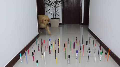 Obstacle Challenge