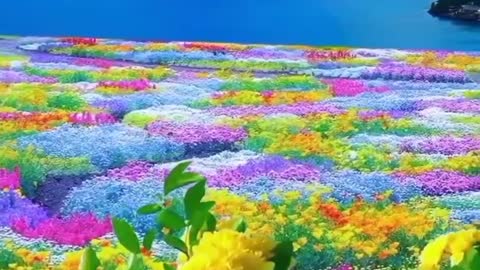 Heaven flowers