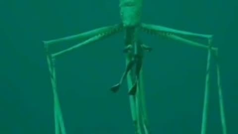 THE REAL LIFE KRAKEN EXPOSED