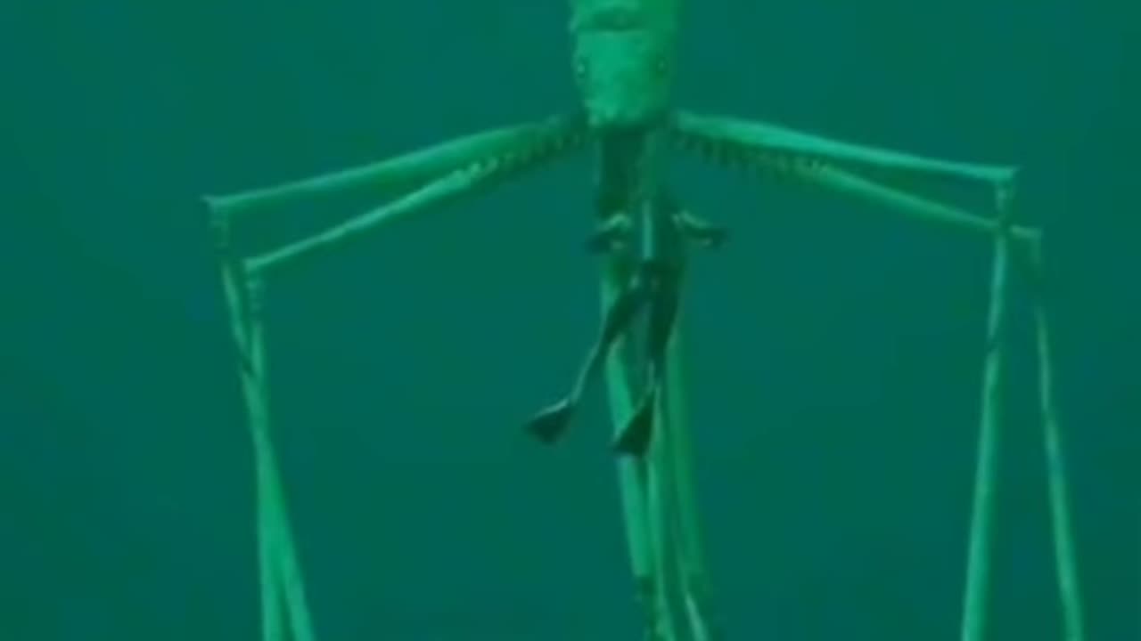 THE REAL LIFE KRAKEN EXPOSED