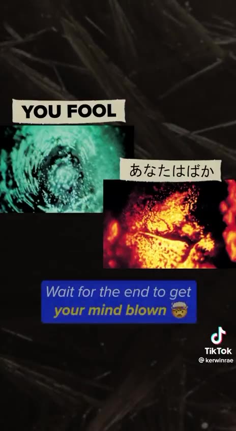 Words are not subjective. Good and bad are not subjective.