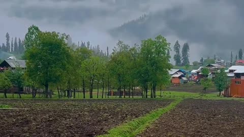 Kashmir