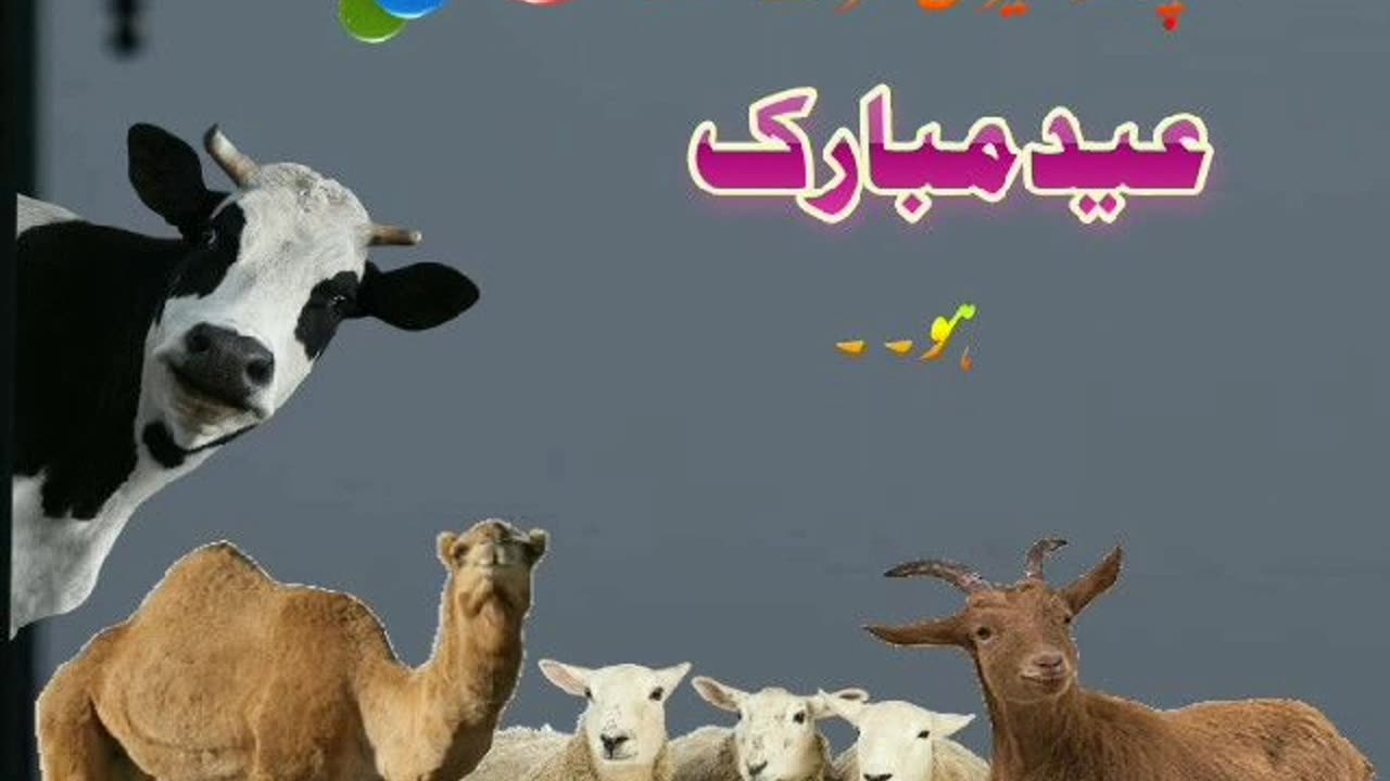aap sub ko meri teraf se eid mubarik
