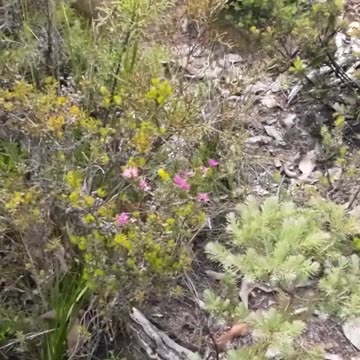 On my way to Brookton Shelter
