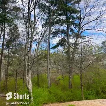 Gods Earth! #shorts #fyp