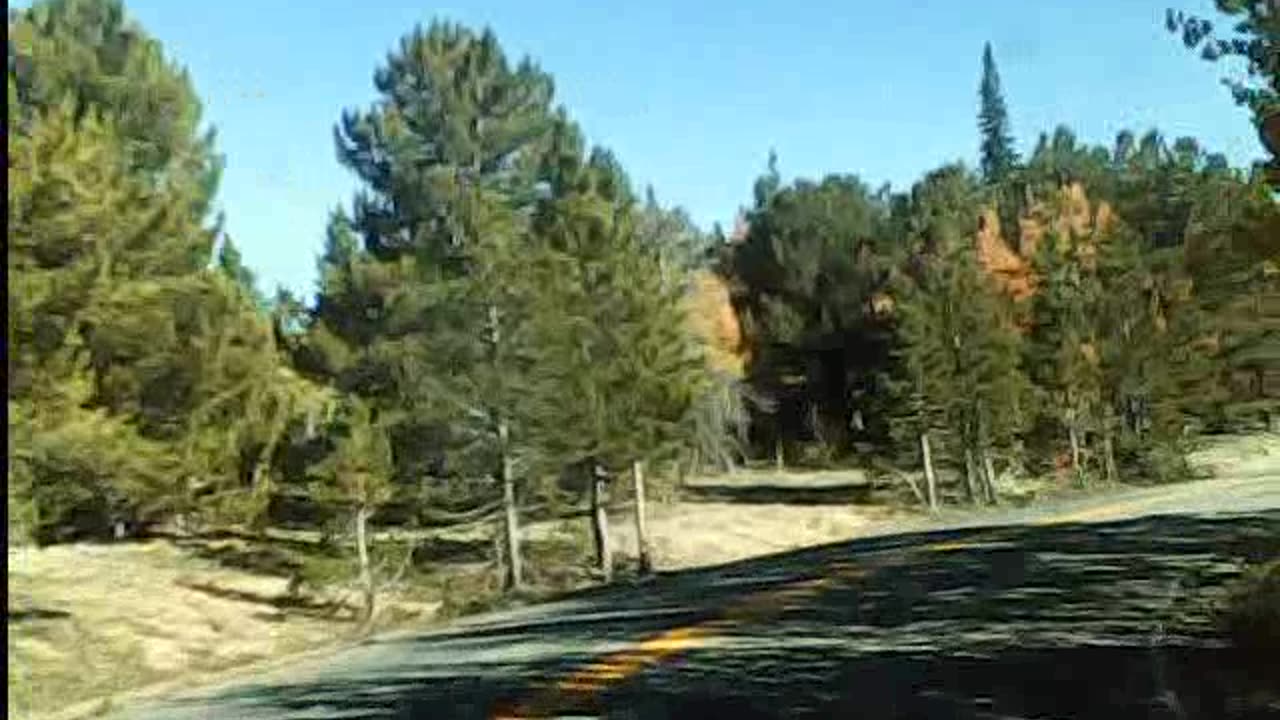 Short trip through green Pines and golden Aspens