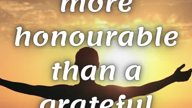 Be Grateful | Quotes about life