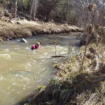 Floating down the creek