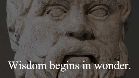 Socrates Quote - Wisdom begins...