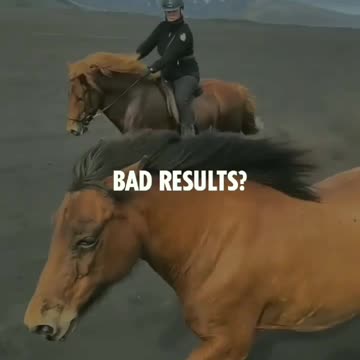 Amazing horse race video