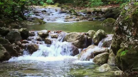 Haratanaya Sree Music with Peaceful Nature Videos | #relaxingmusic | Veena Kinhal Music