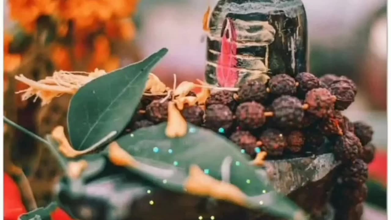 Jai Mahadev