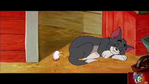 Tom and jerry