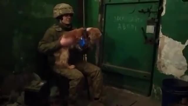 🇺🇦Graphic War18+🔥"Bunker Dog" is Azov Warrior Best Friend - Ukraine Armed Forces(ZSU)