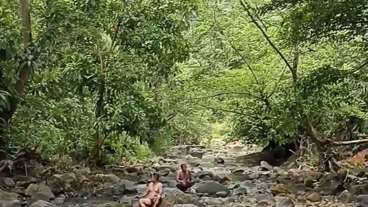 HUTAN BELANTARA SELATAN