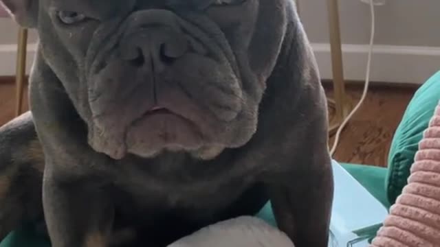 Not happy to say a few words?