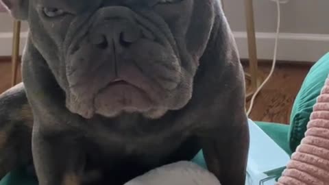 Not happy to say a few words?