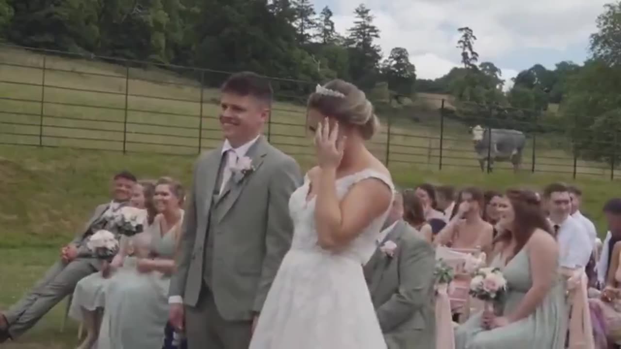 Someone Had a Cow at this Wedding. . . . . . literally!