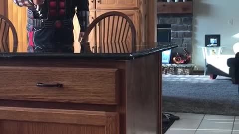 The first Ant-Man video my son and I made. There’s a sequel if we can hit 25K views!