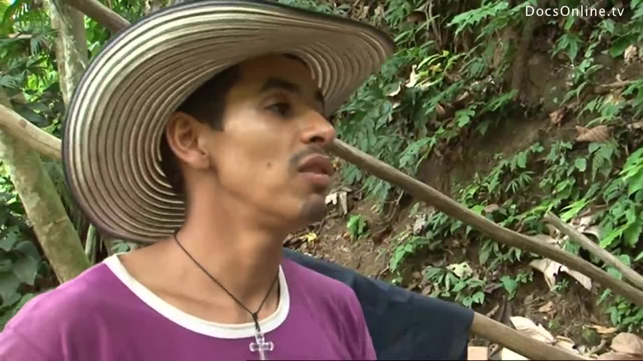 Cocaine production in Colombia