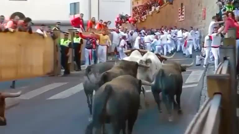 San Fermin festival closes with fastest run ever