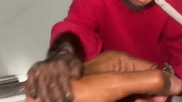 Cute monkey needed a lighter