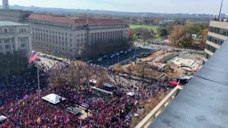 Trump DC Red MAGA Wave