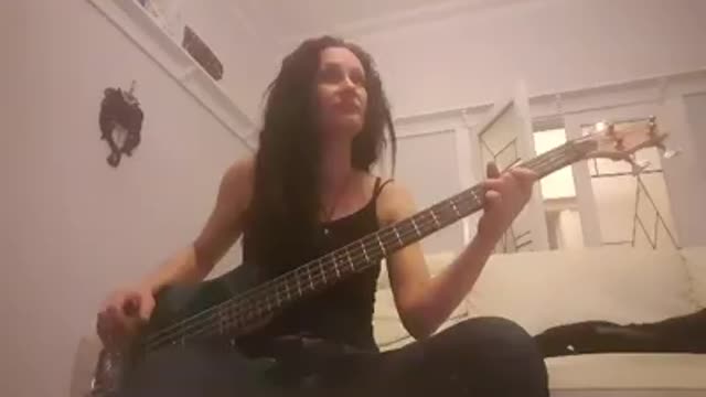Hotel California bass cover