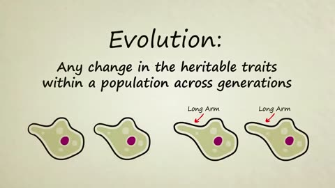 What is Evolution ?